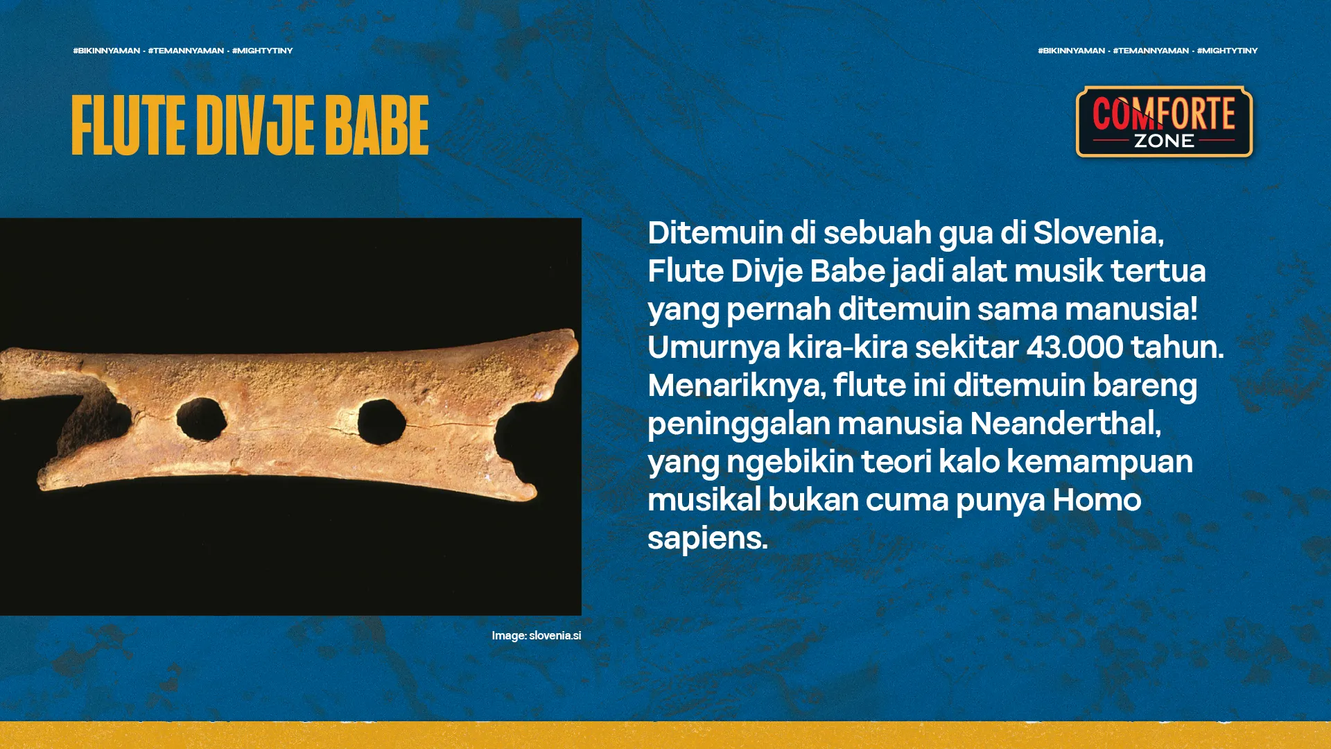 FLUTE DIVJE BABE